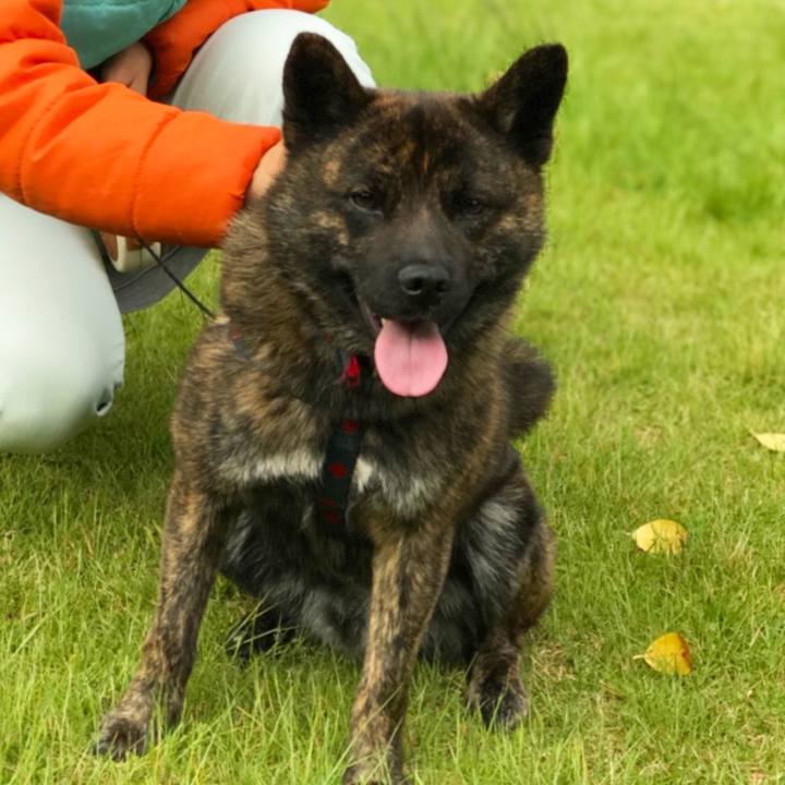 C5792e07 9768 44dc ad5d be371104d704