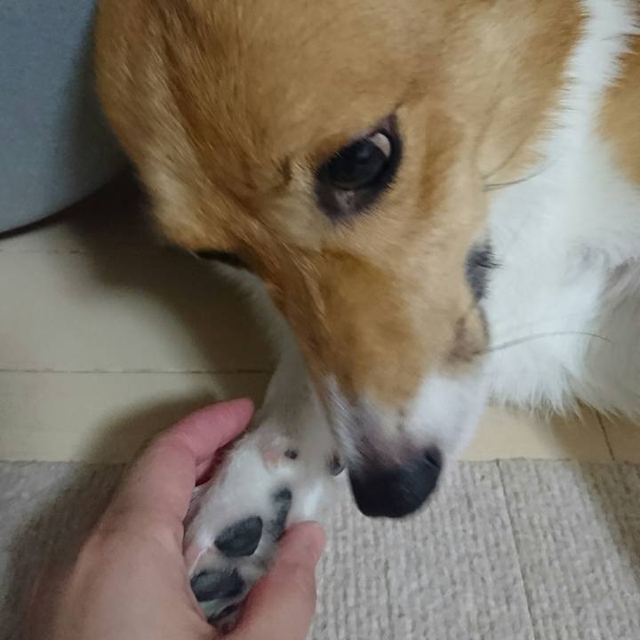 C5793ce4 6912 4568 becb 21ebda9971f0