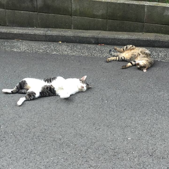 C579ea2c 125c 4491 9567 033dda5b9f69