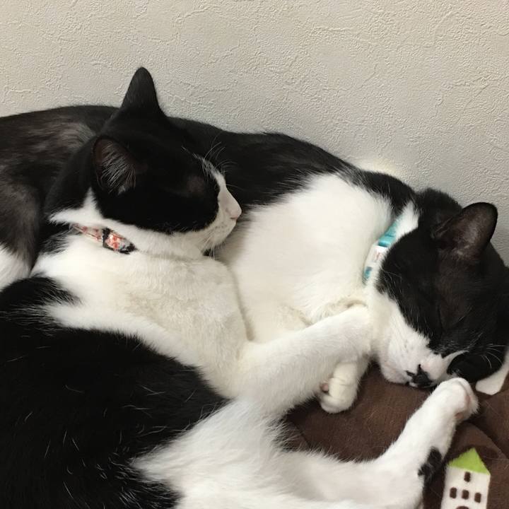 C57a184f 1a9d 4076 b308 236b2ce58f17