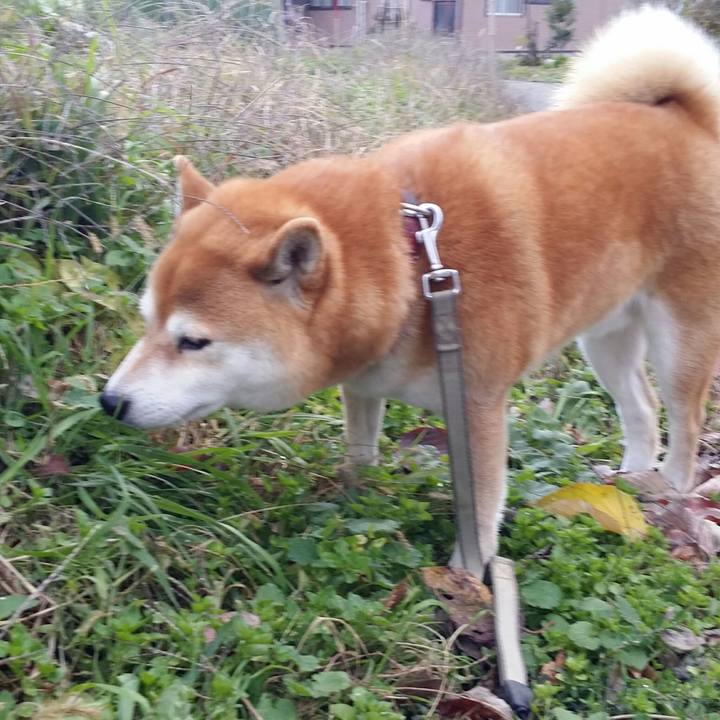 C57a19c1 25dd 4e33 9c45 246b6e7245bb