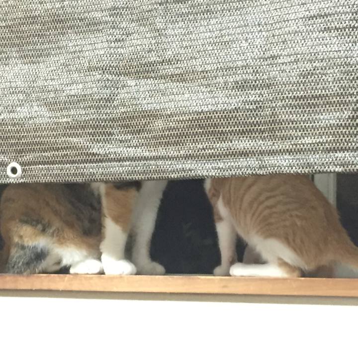 C57a814d 5406 4440 8c09 8a21ec17debd