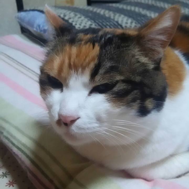 C57aa127 8c65 44ef 93af e7d7fc3026df