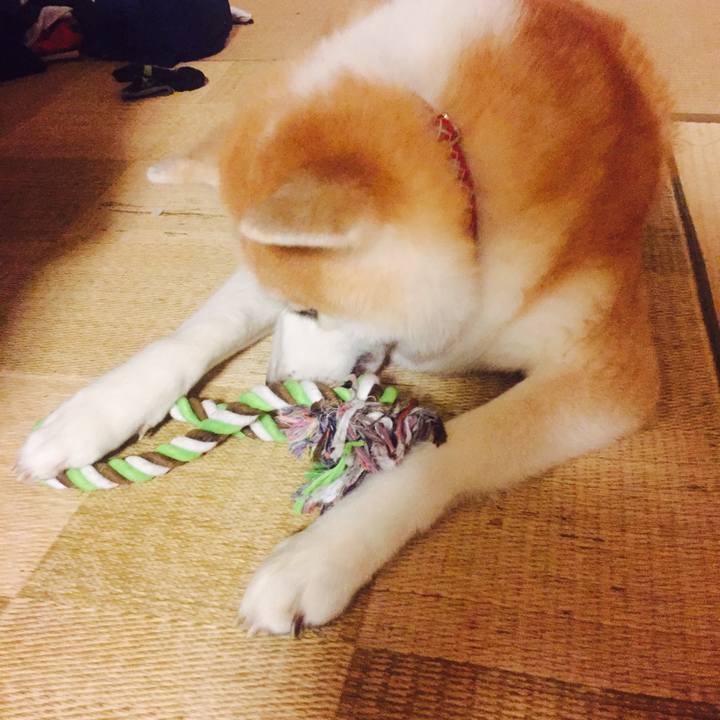 C57ae49d 49e3 48ca adfb 713e8c52553b