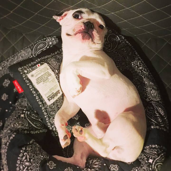 C57b10a5 c2a4 48fc b910 39aa9c2db5e4