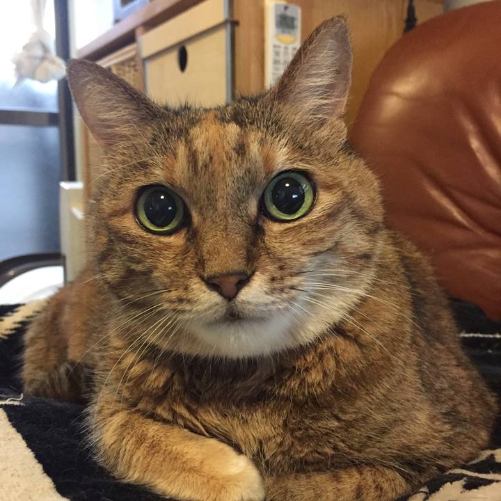 C57b76ab 1434 4f88 80e6 05d7c93a7454