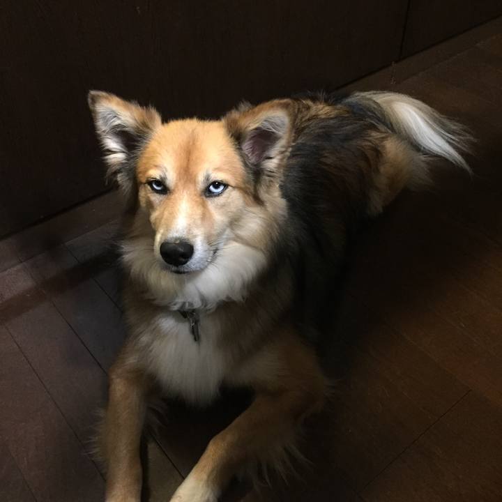 C57c1fb6 2b75 4f53 bfee 8646296f24ae