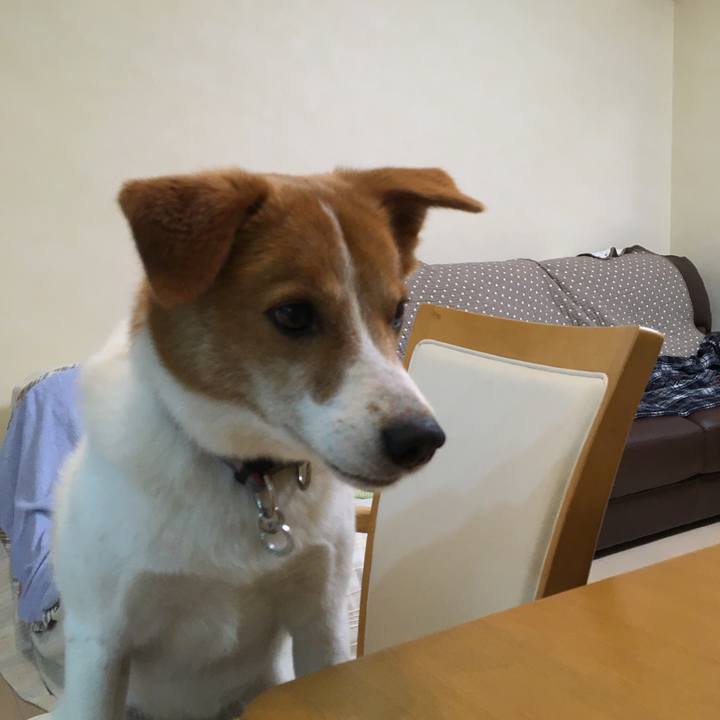 C57c538a 6735 4c84 8471 0618a623eb11