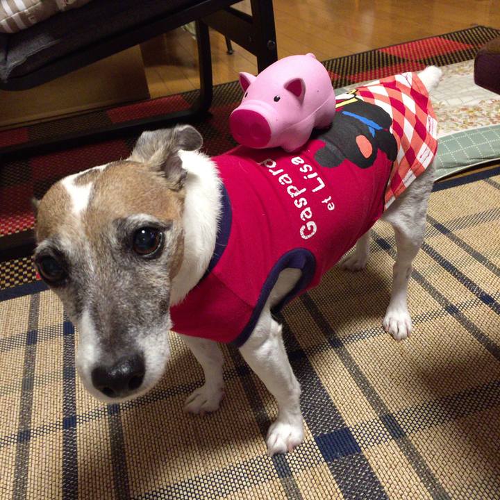 C57c5f62 29dc 4922 a662 5be25c3367ed