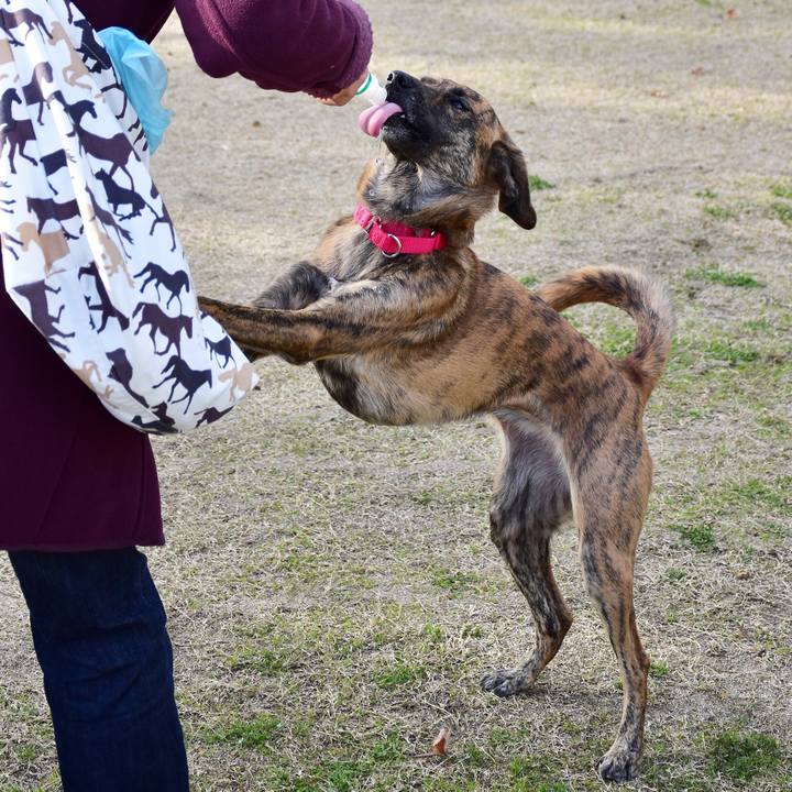 C57dcf9b 8bfd 4a68 ab41 ebc0ebeb2d38