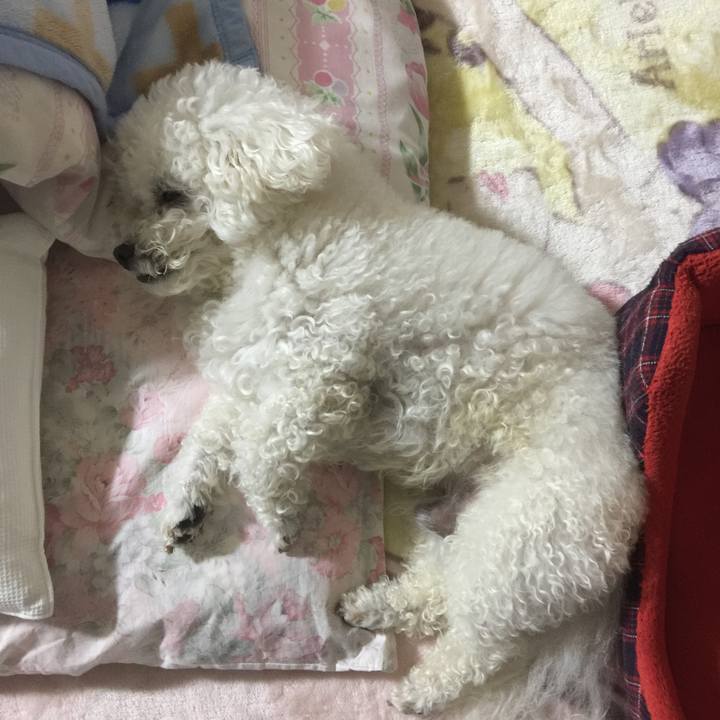 C57e1b2f 3b18 4eec 88c7 edb1e9eff95c