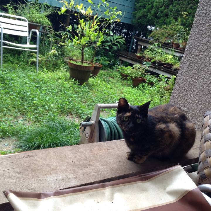 C57ecfdd fb47 457e aaf5 185b472fc20d