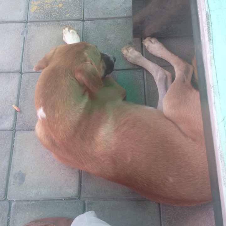 C57f8b2f c027 4432 ba6d 25dedc37ef49