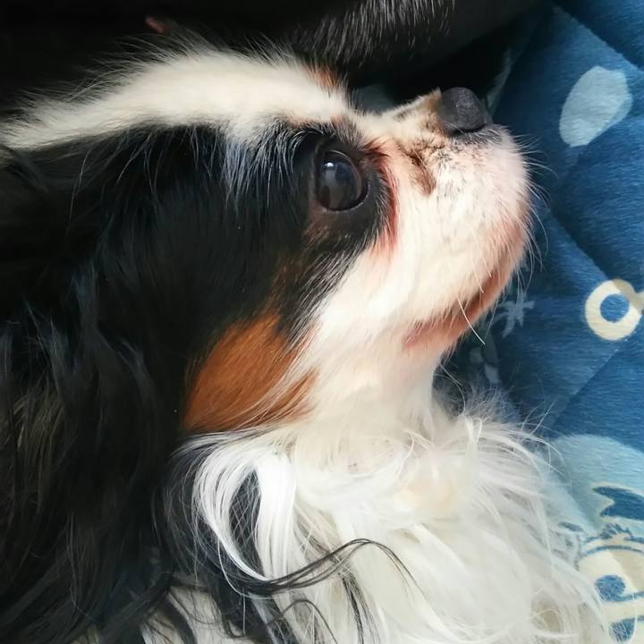 C58000a8 af86 4ec0 b747 de9b37850244