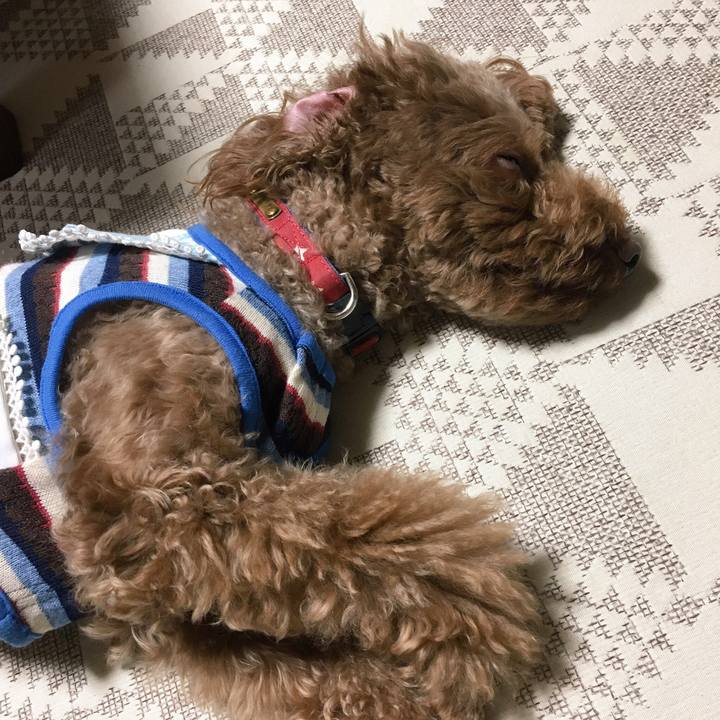 C580a3ae a4b5 4717 9837 aa32fa6e191b