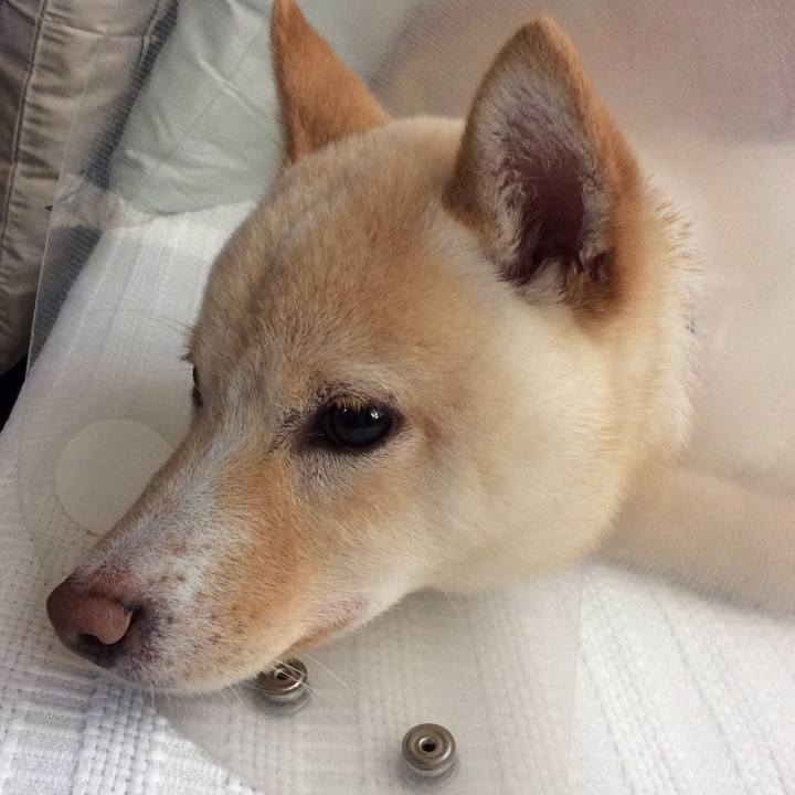 C581a77a 44b1 44e4 9d36 9f4a9c9a503c