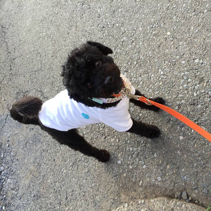 C582b9e1 6073 420e b70f 055fded58f95