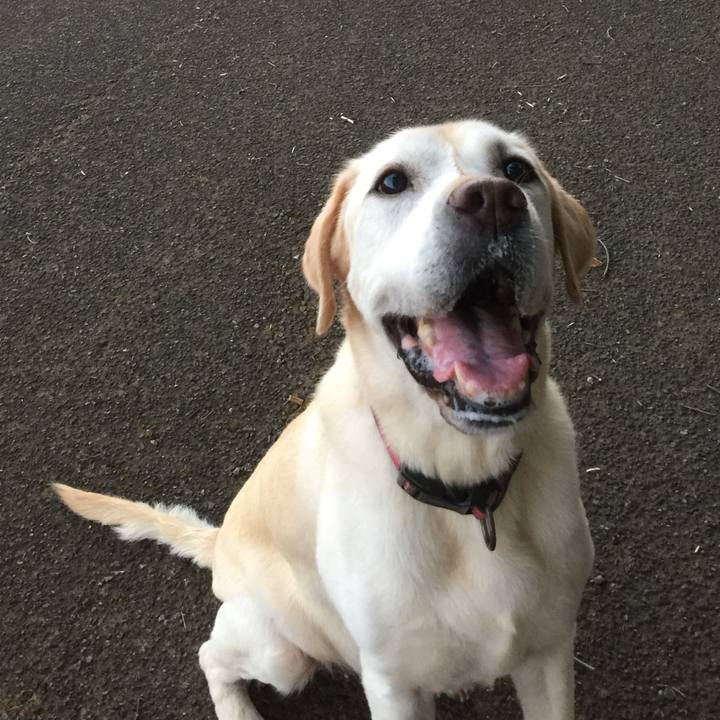 C582cd52 9eac 4ca4 9e72 e92e7c53d721