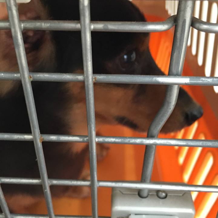 C582e19d e88e 430e 839b b2f6354f03df