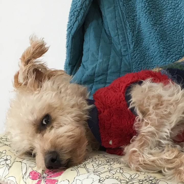 C5830ba2 a64b 44e8 bb12 436a39803f06