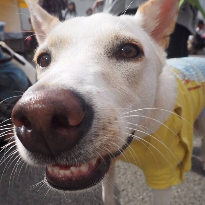 C5836b2e 833f 4dab 83a2 f3bd410ac683