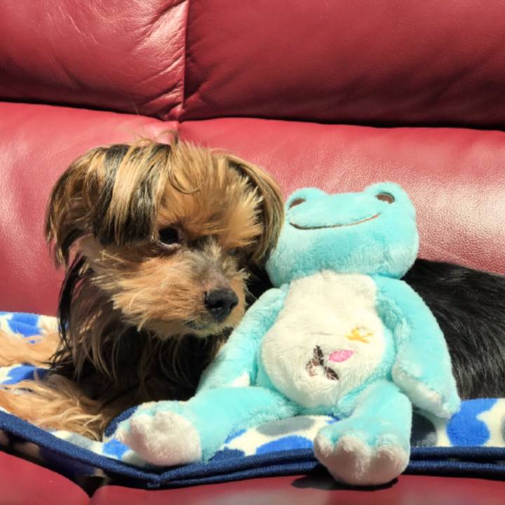 C583e2dc 1aa8 47a0 b635 641fbfb9b181