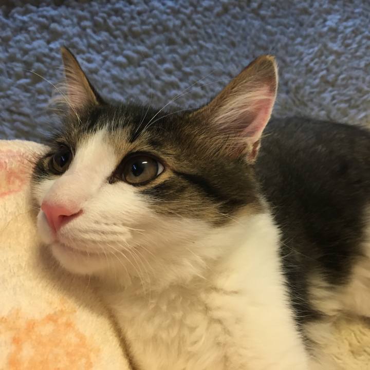 C58463ff cb43 4b83 8c3b 31494384bcbf