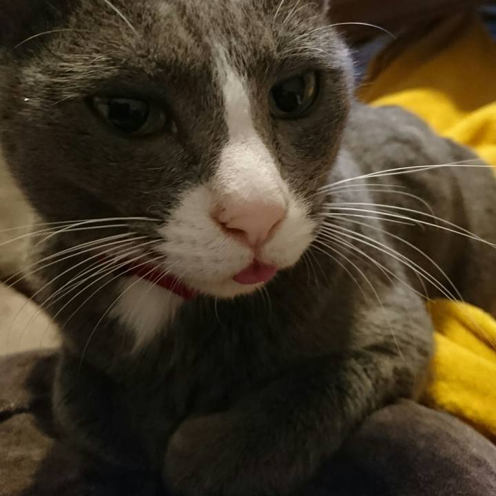 C5849915 ca7f 4832 9e89 1969ad1dbd20