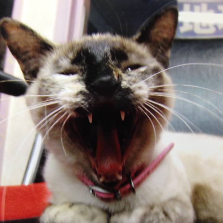 C585aed4 0d23 4761 9259 68a4fa14ab02