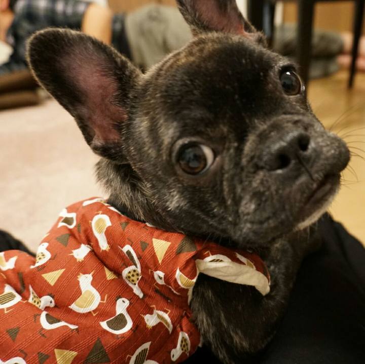 C585e622 1496 4137 a4a6 9ec082c4e879