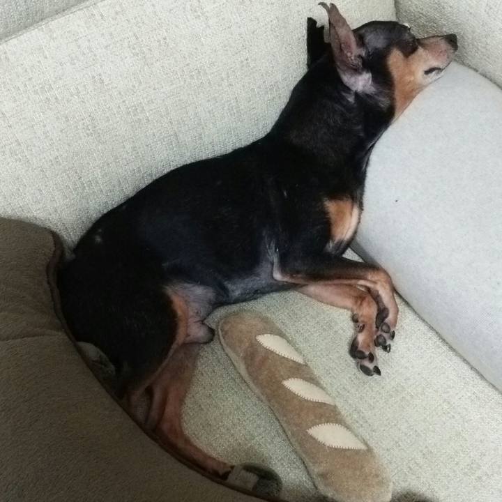 C58751f8 1b4f 4d56 a08f 1302f630080c