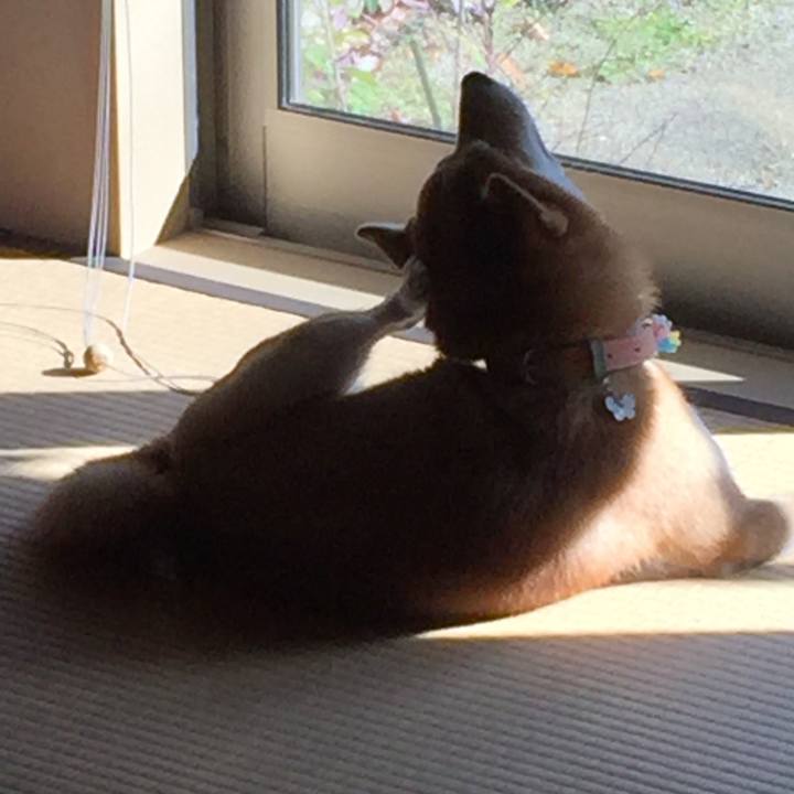 C587942f c2d6 4ee8 aa44 076dd1d40013