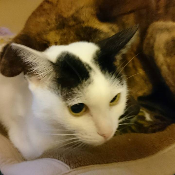 C58868d0 75a8 4fb3 aefc c2262ffd7127