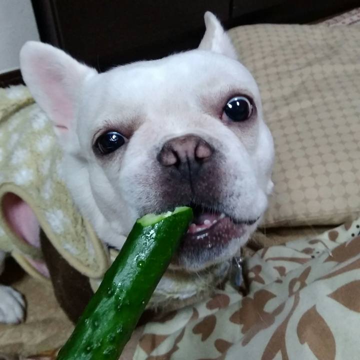 C588deff 7b21 4f15 a8df 1987e818c027