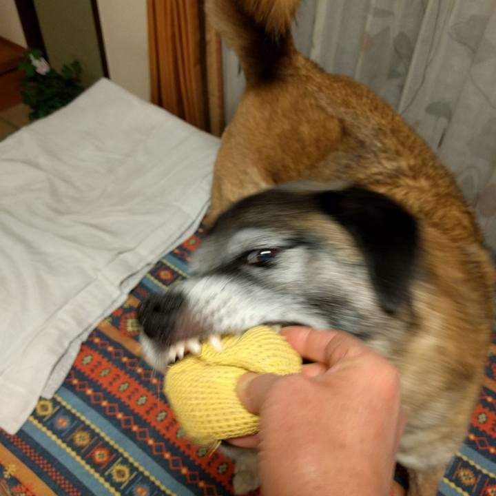 C5892c3b 9637 4ee9 bc38 e6ea648df7d2