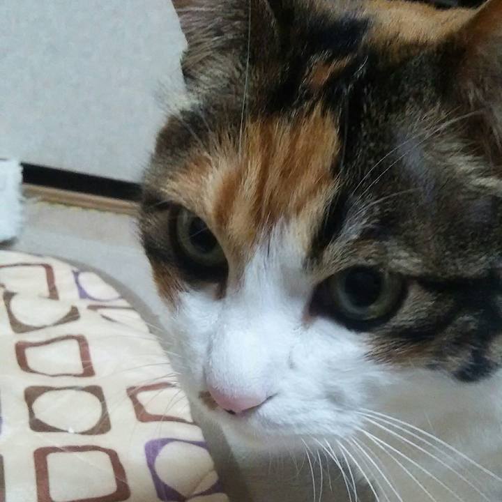 C5897f6a c9d1 45b2 b281 1c0b8da8fd9a