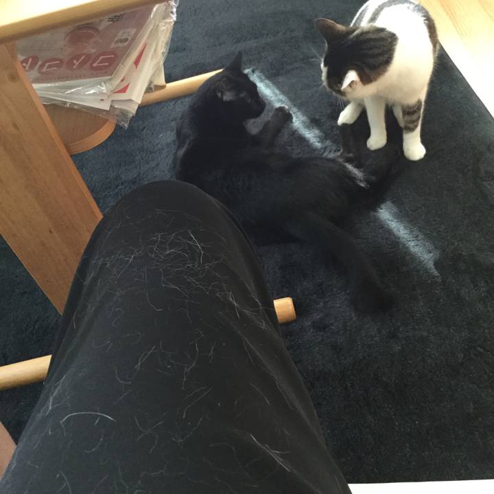 C5899efb dfe8 4e74 a8bd 395429caa0d1