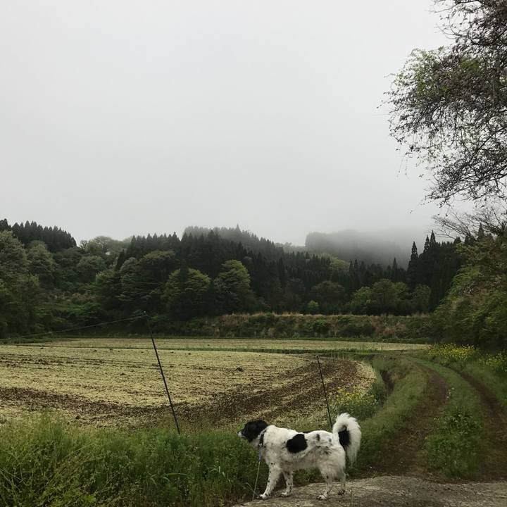 C589cdad d590 4d91 ba30 c226e8230651