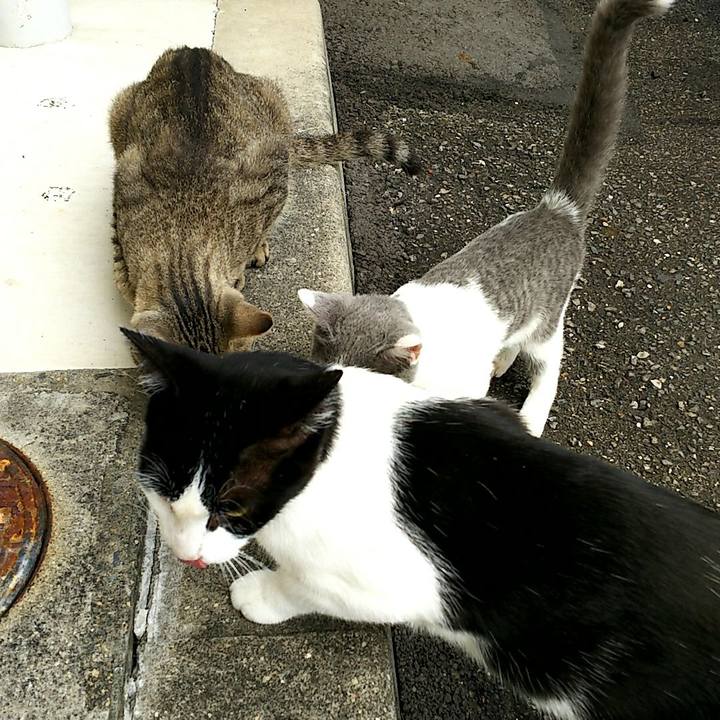 C589d7f0 ca22 481e bd4c 19eda9dad157