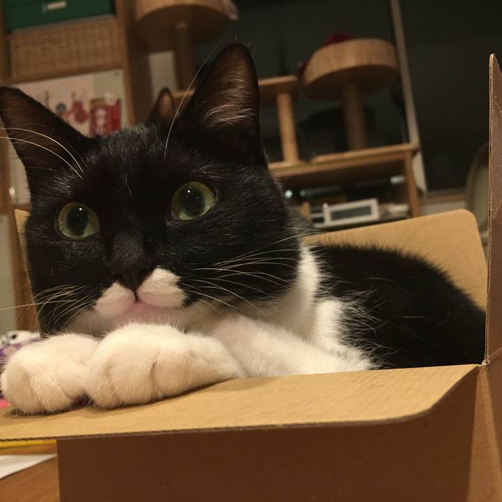 C589eaaa 152b 43c5 98e8 e13c8b7e61a6