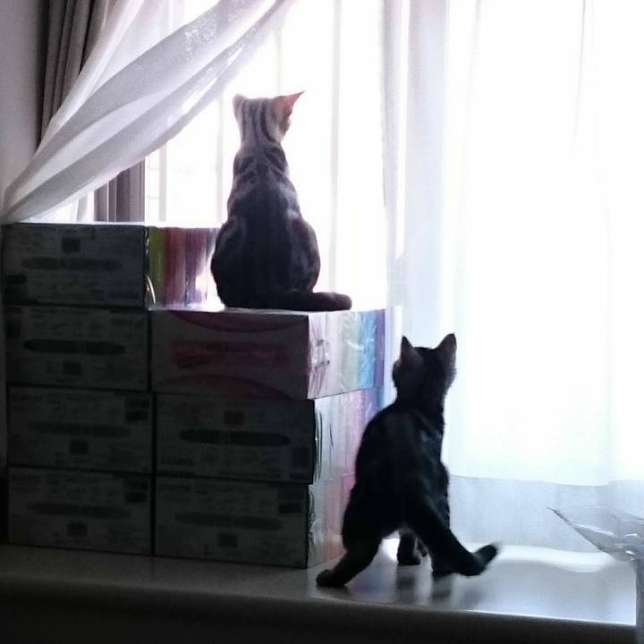 C58a77da 5a3e 4b44 9f73 c0c0e51745d4