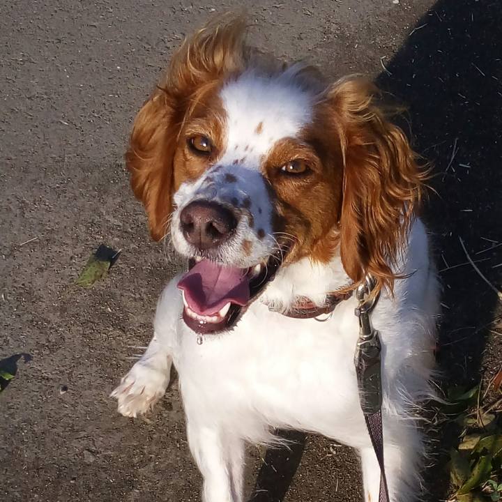 C58ad370 92d4 4520 a628 5447332490bd