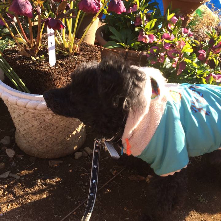 C58b2d1c 4a05 4bac b840 c500ebee68ba