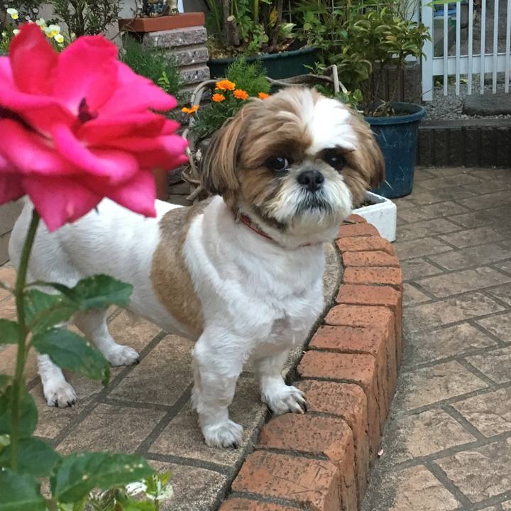 C58b45ad 5866 4204 9ef9 7730e9d09da5