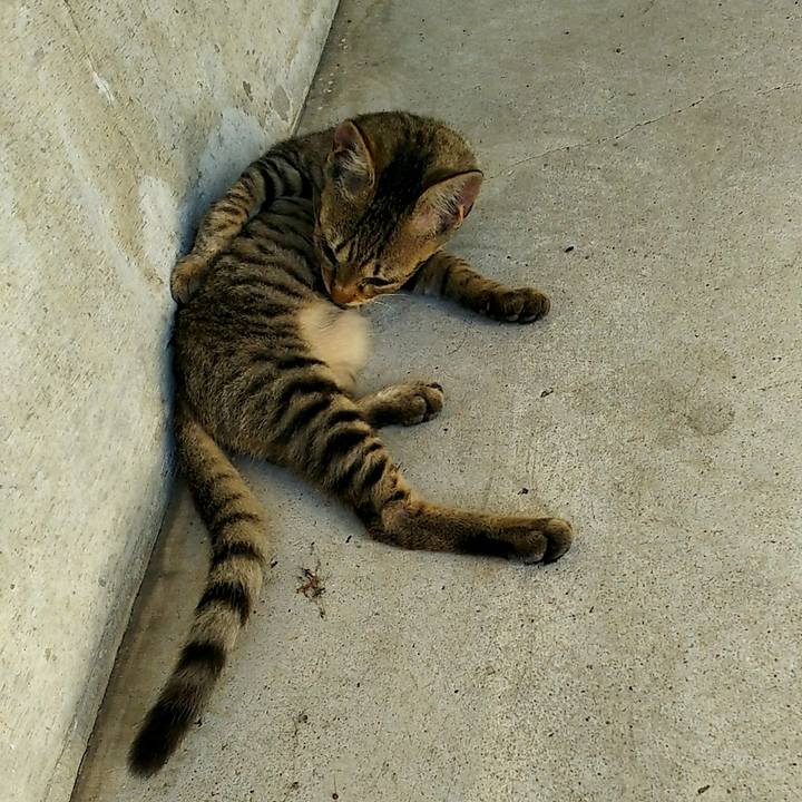 C58b4f1c 4f4a 4eb7 aab1 8dc460e89e10