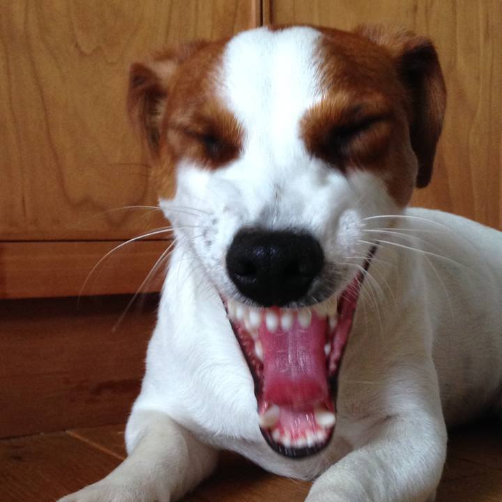 C58bcd41 5fa7 4b0a 8533 b12b09549dfc