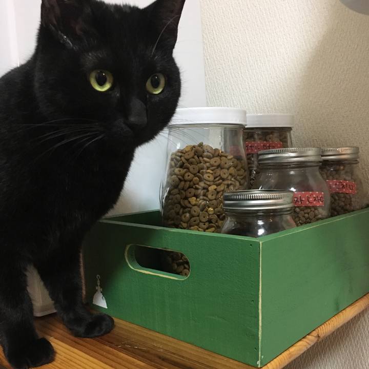 C58c2cd7 1471 4512 8696 f09197ce1406