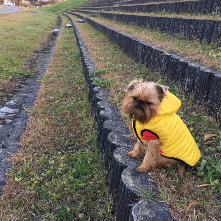 C58ce114 36f1 4da4 8563 a0683a65eb3b