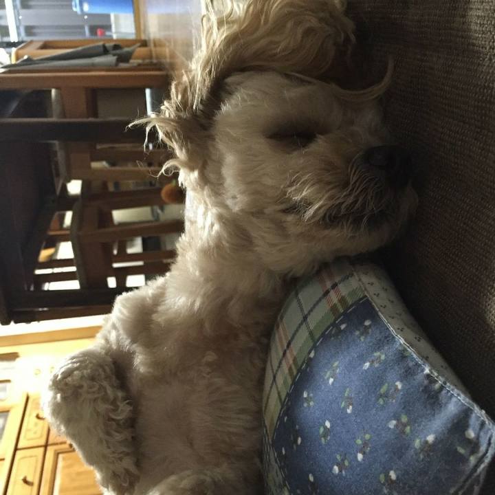 C58cfd6a ae52 48b3 9219 a4050135e396