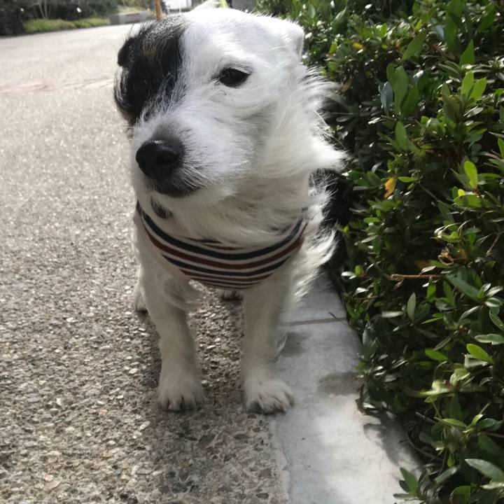 C58d1ee1 a56b 439b ab88 ce484c8f4b9d